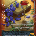 Imagen siguiente del producto