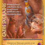 Imagen siguiente del producto