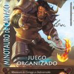 Imagen anterior del producto